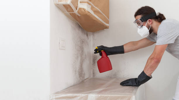 Professional Attic Mold Remediation technician working in Rhodelia, KY