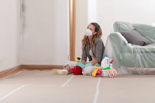 Reliable Attic Mold Remediation contractor in Rhodelia, KY by Car Mold Remediation