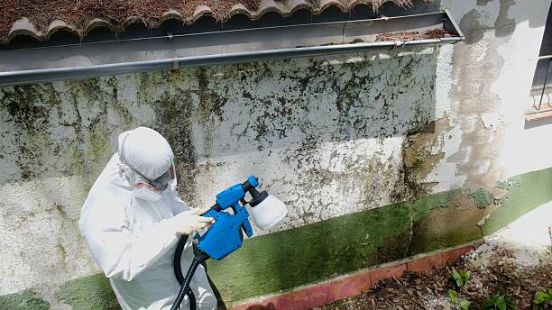 Top rated local Attic Mold Remediation specialists in Rhodelia, KY